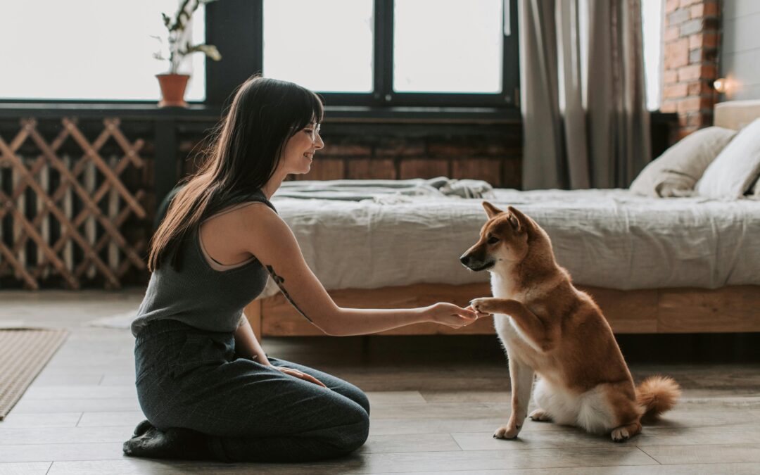 Essential Pet Gear for Small Space Dwellers