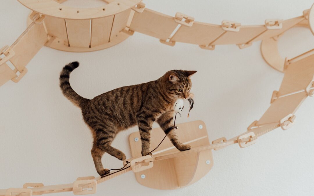 Top Pet Toys for Boosting Mental Stimulation