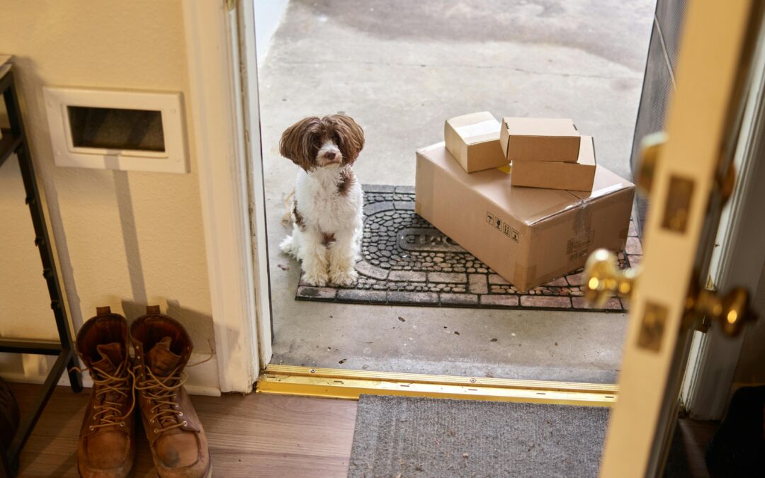 Organize Pet Supplies for a Clutter-Free Home