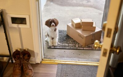 Organize Pet Supplies for a Clutter-Free Home