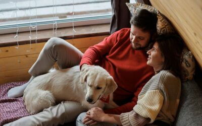 Top Pet Supply Trends Every Pet Owner Should Know in 2026